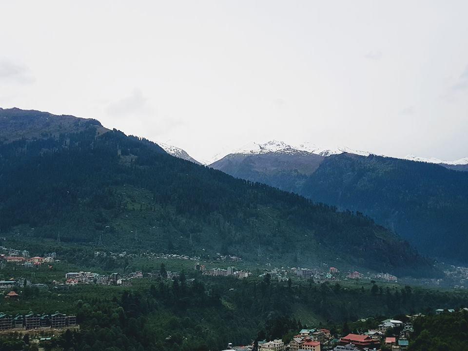 Primo Resorts Manali  Exterior photo